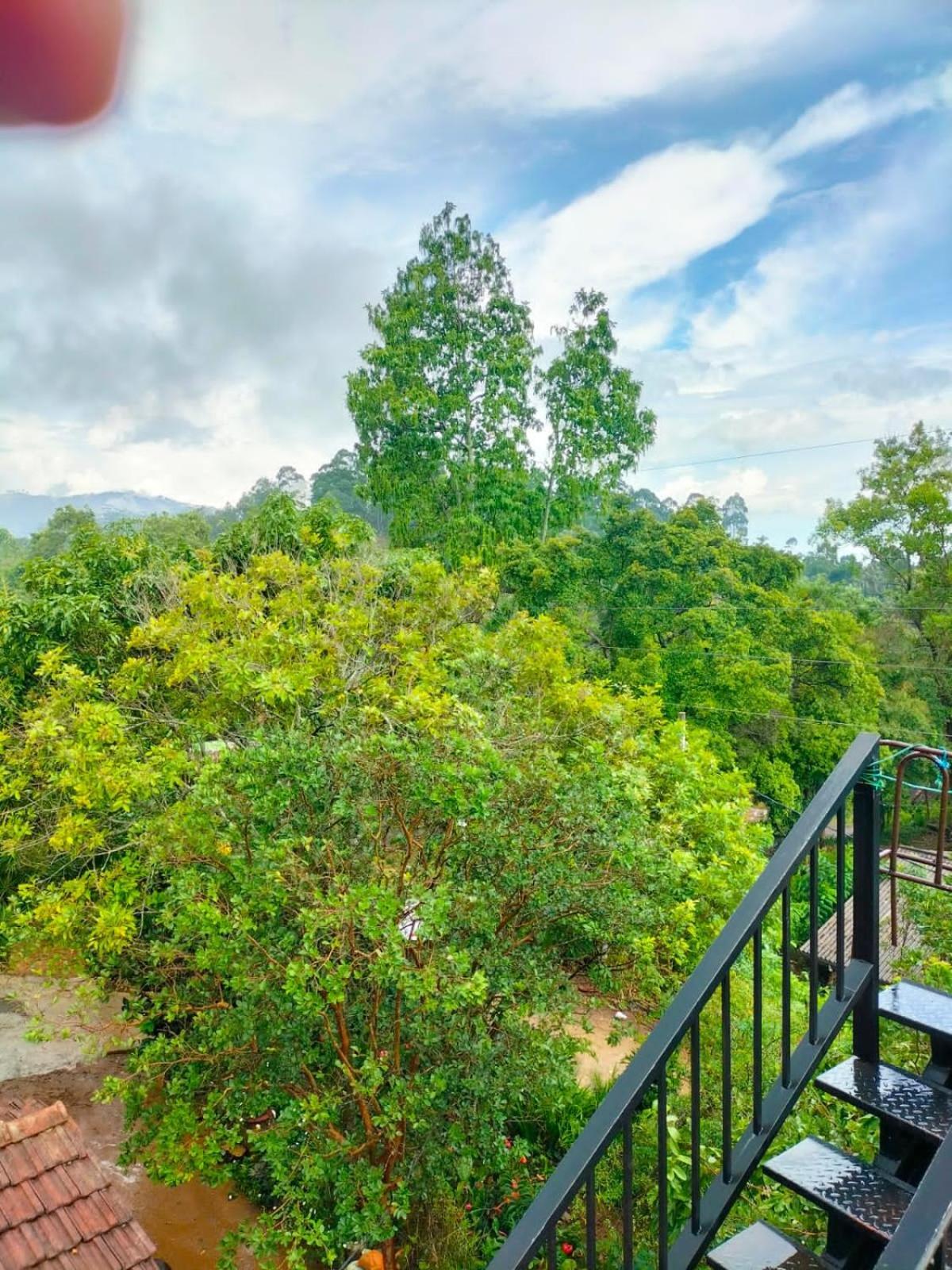 Ella Cloud Castle Homestay Экстерьер фото